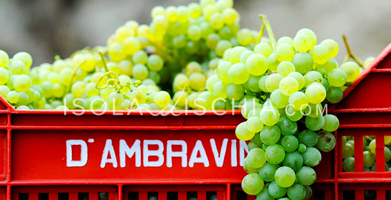 d-ambra-vini-ischia
