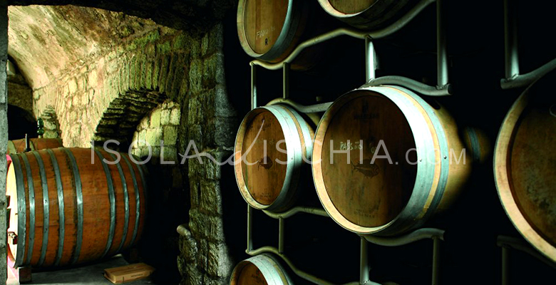 pietratorcia-cantine