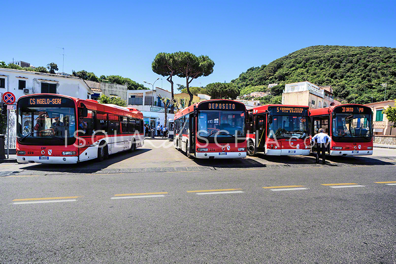 Orari Autobus Ischia