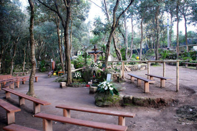 Il Bosco e La Madonna di Zaro a Forio Ischia