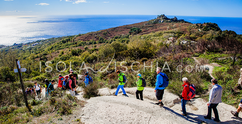 Trekking sul Monte Epomeo